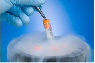 陈思远